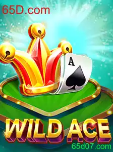 Explorando o Fascinante Mundo de WildAce: Um Novo Patamar em Jogos de Cartas